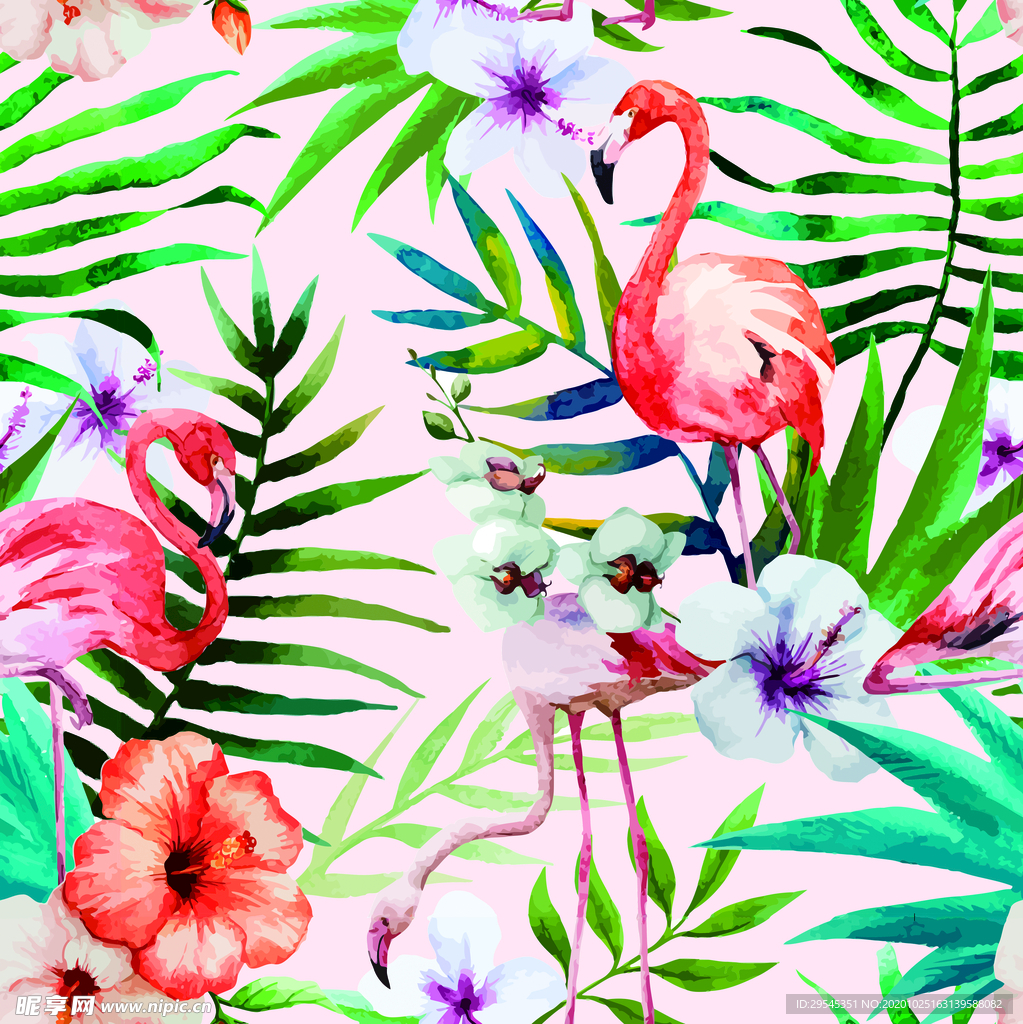 热带花