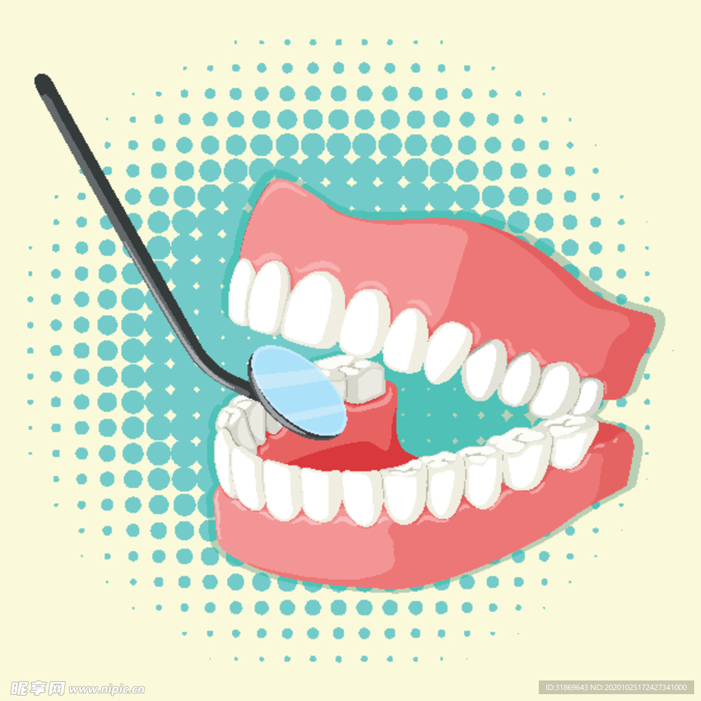 牙齿 口腔 医科