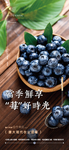 蓝莓采摘海报