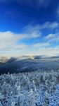 林海雪原