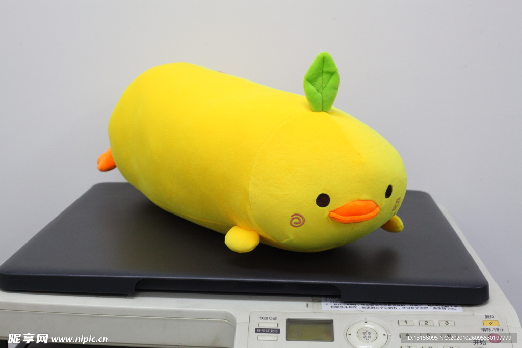 小鸭子