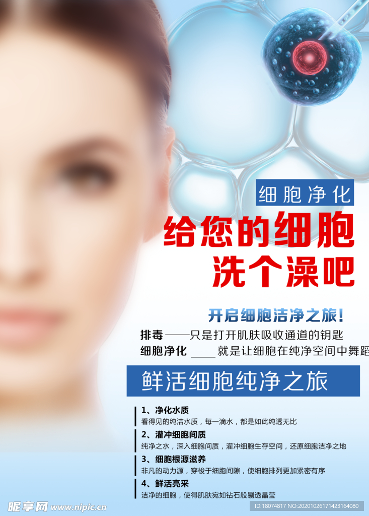 细胞净化