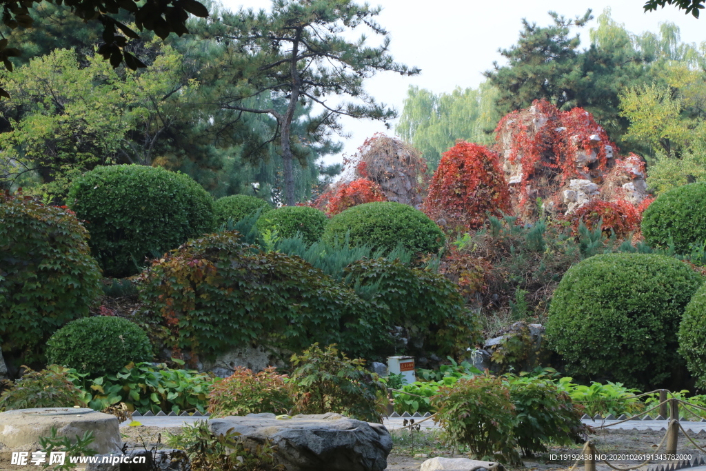 彩叶风景