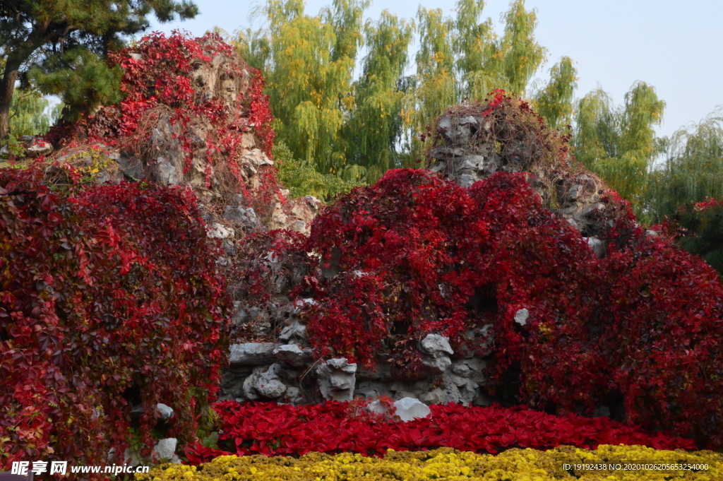 红叶风景