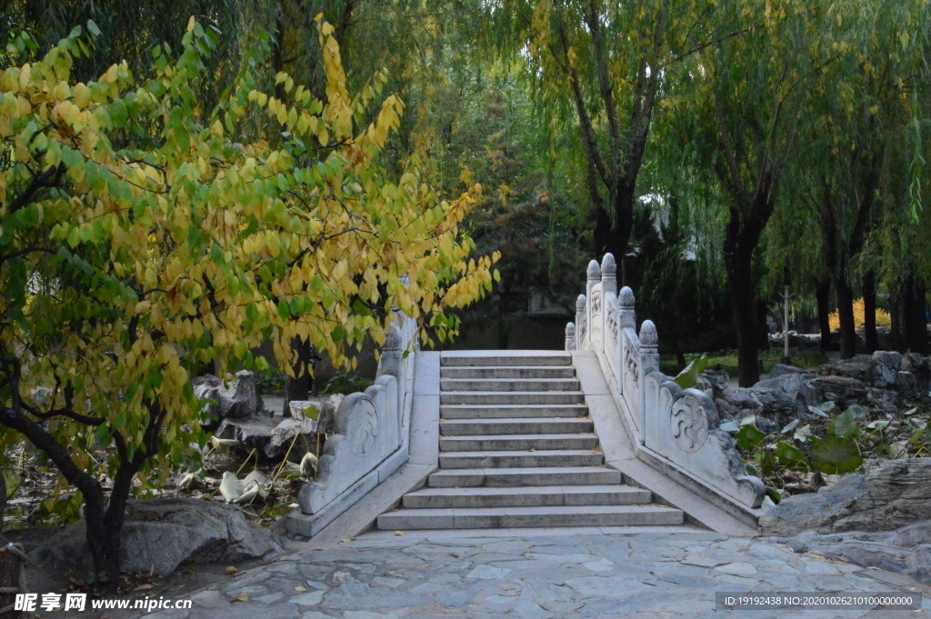 园林风景