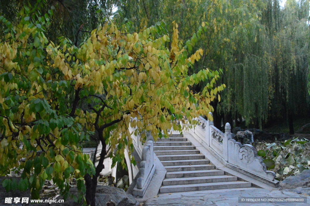 彩叶风景