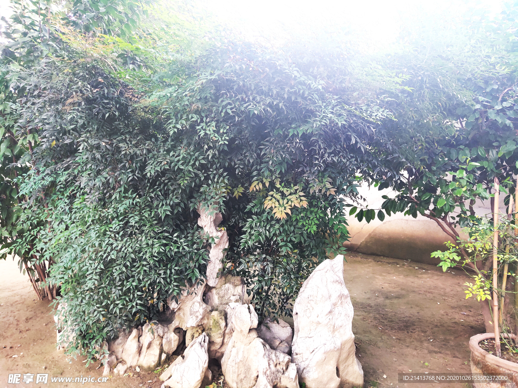 清新自然风景