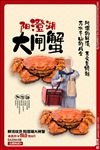 大闸蟹美食销海报psd促广告模