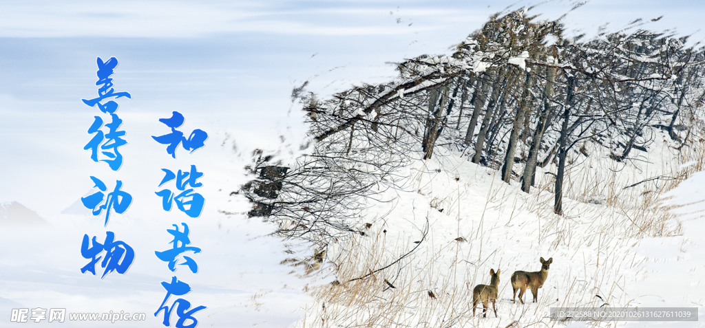 保护动物展板