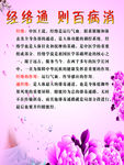 经络通
