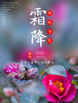 霜降