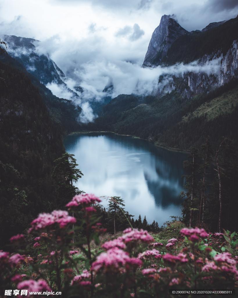 湖泊 秋景 秋天树林 湖水