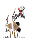 仙鹤元素