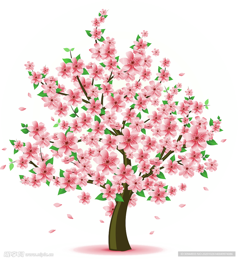 樱花装饰素材