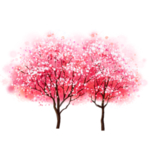 樱花装饰素材