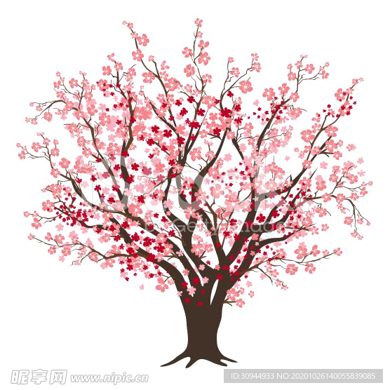 樱花装饰素材