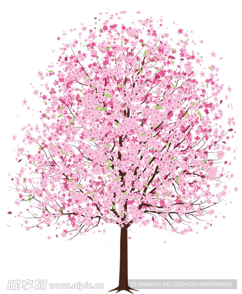 樱花装饰素材