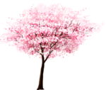 樱花装饰素材