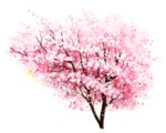 樱花装饰素材