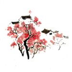 樱花装饰素材