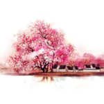 樱花装饰素材