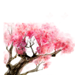 樱花装饰素材