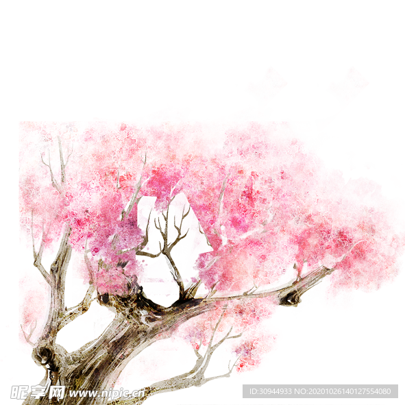 樱花装饰素材