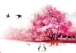 樱花装饰素材