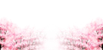 樱花装饰素材