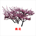 手绘桃花