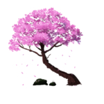 樱花装饰素材