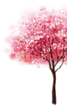 樱花装饰素材