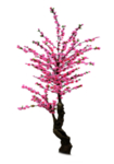 手绘桃花