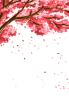 樱花装饰素材