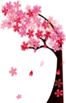 樱花装饰素材