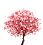 樱花装饰素材