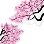 樱花装饰素材
