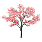 樱花装饰素材
