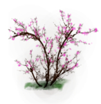樱花装饰素材