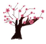 樱花装饰素材