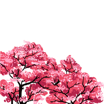 樱花装饰素材