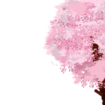 樱花装饰素材