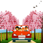 手绘樱花素材