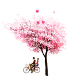手绘樱花素材