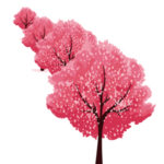 手绘樱花素材