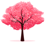手绘樱花素材