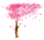 手绘樱花素材