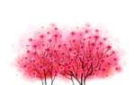 手绘樱花素材