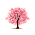 手绘樱花素材