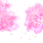 手绘樱花素材